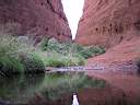 Rock Pool