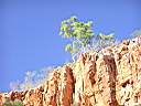 Ormiston Gorge